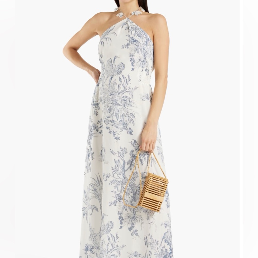Sachin & Babi Tessa Printed Chiffon Halter Maxi 8